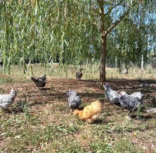 La Grange De Baffol Сasa de vacaciones Saint-Chamarand